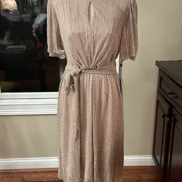 Adrianna Papell Dresses & Skirts - NWT Adrianna Papell Metallic Champagne Gold Dress